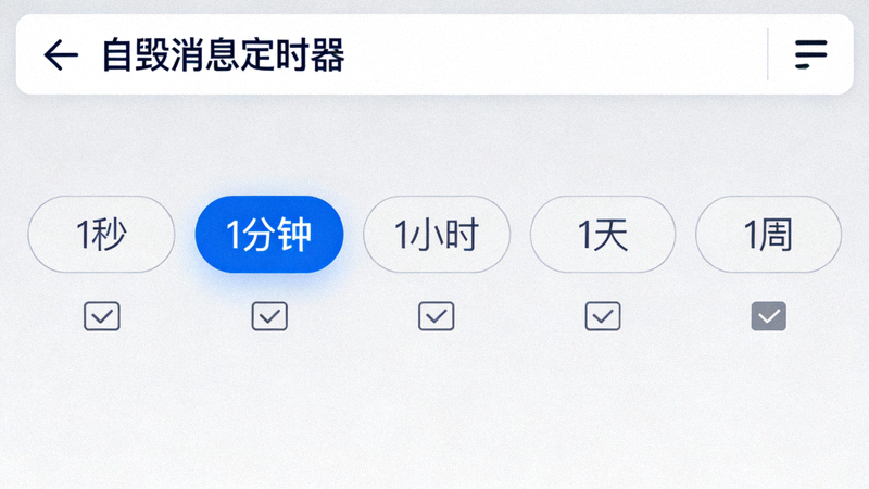 Telegram电脑版自毁消息定时器设置界面，展示从1秒到1周的不同时间选项